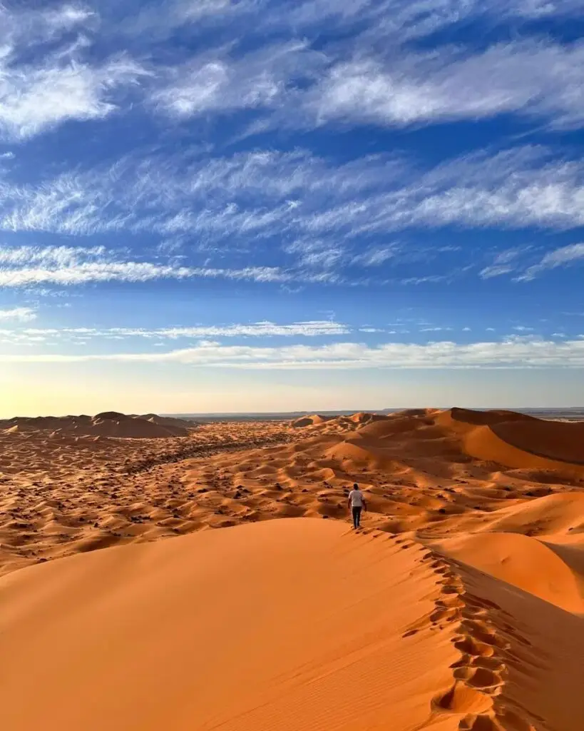 the view of the desert from the biggest dune